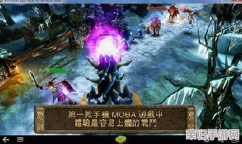 探秘动物森林隐秘秩序：霍克英雄的光辉篇章与生存法则深度剖析