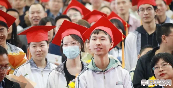 航海王：炽热征途剧情深度探索与副本策略全解，掌握燃烧意志的制胜之道