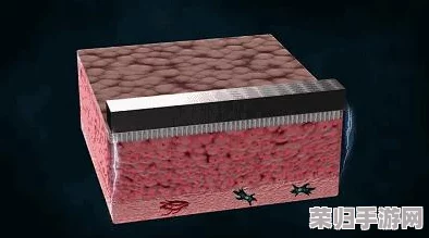 2022年度重生细胞游戏：全面探索独家种子码集，解锁无限挑战与策略新境界