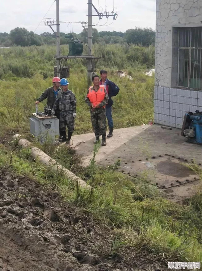 深度挖掘：家园卫士中不为人知的组合技能奥秘，实战效能全面剖析