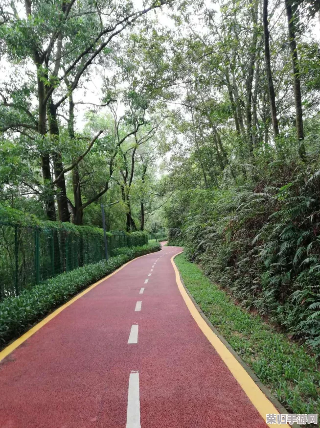 烟雨朦胧江湖路：详尽攻略解锁小瞎子奇遇，搜集线索成就任务赢取丰厚奖赏之旅