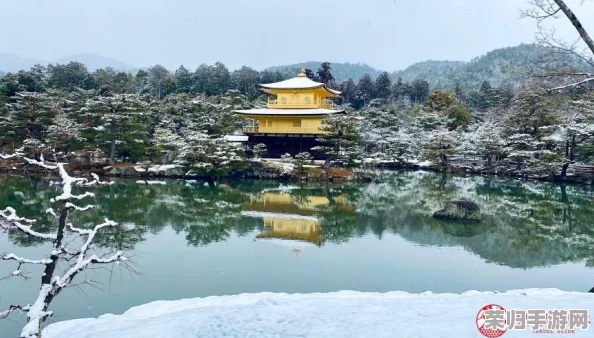 独家揭秘：从显眼包到闪耀星——贫困资助高效过关实战指南与心得分享