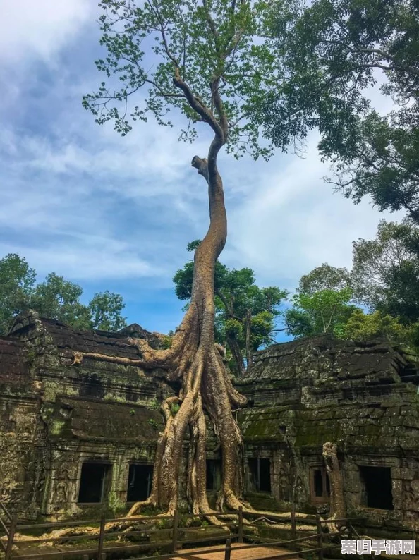 《文明VI》解锁周达观时代视野：揭秘哪座奇迹建筑引领全球文化新纪元？
