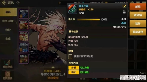 DNF手游攻略：高效利用装备品级调整箱，优化角色战力全指南