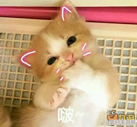 2024年必玩猫趣横生游戏精选：探索猫咪世界，沉浸式萌宠互动游戏大全集