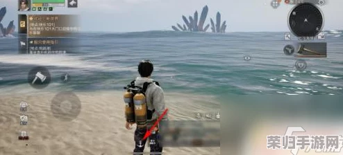 明日之后：海域探险归途指引，揭秘海洋版庄园独特路径重返家园
