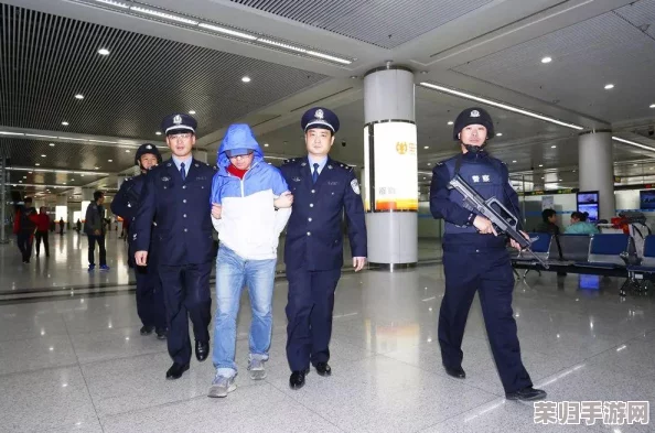 战争雷霆坦克历史战役：深度探索各系战车特色，抉择最适合你的荣耀战线