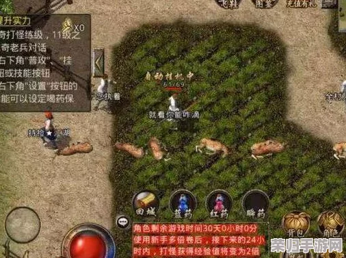 《勇敢小骑士传奇》第九章：迷雾森林的宝藏搜集策略与技巧全解析