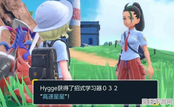 探秘宝可梦朱紫世界：全面解析道具卖场珍稀物品与实用装备指南