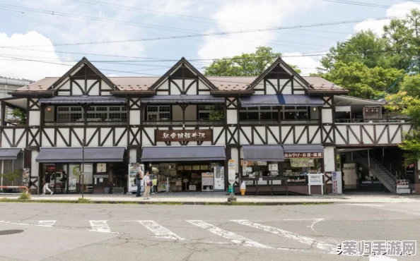 探索时光杂货店的无限创意：复古玩具、未来科技品与怀旧记忆店铺的奇妙融合经营之道