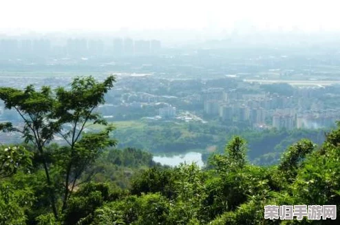 三角洲战区终极武器进化策略：全面升级指南与实战优化技巧