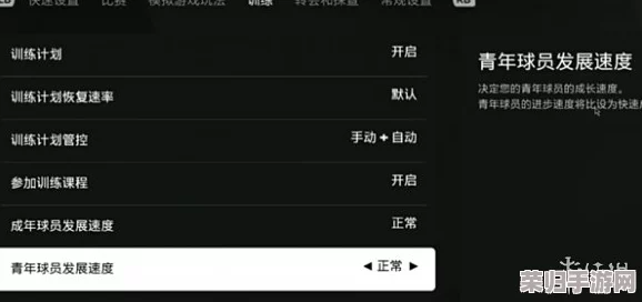 《EA SPORTS FC 25》新手必看：如何快速关闭游戏内加号显示，优化操作体验技巧分享
