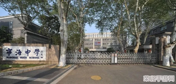 探索《地下城与勇士》传说勋章美学：哪款设计独领风骚，尽显玩家个性风采？
