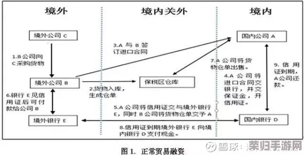 掌握纷争法则：大贸险新手实战指南，策略布局与风险规避全攻略