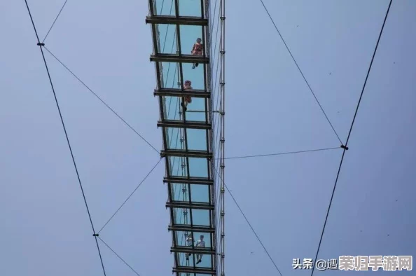 《勇者斗恶龙：怪物仙境3》畅玩指南，揭秘高效配置需求与流畅游戏体验秘籍