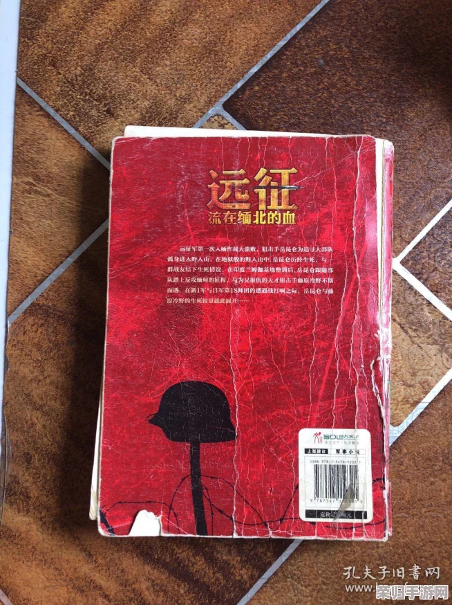 揭秘远征背后：红瓜子意外揭开尘封真相，引领归途新篇章