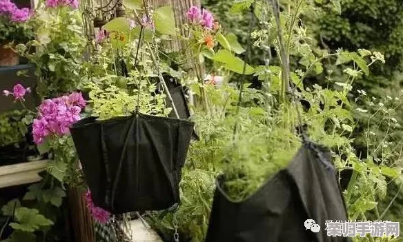创意口袋园艺：高效合成植物策略与独家技巧大赏，打造迷你绿洲新风尚