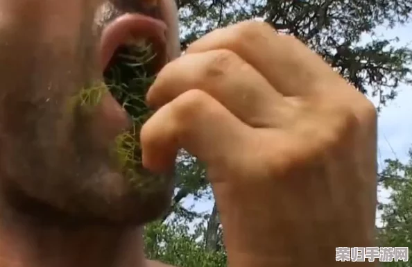 精研打野策略：寡妇制造者最优出装搭配与天赋选择指南