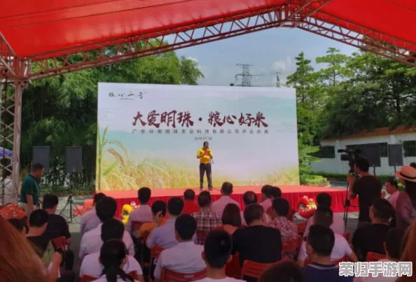 辐射4生存策略：揭秘最易受侵扰的据点与防御布局要点