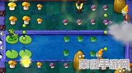 Steam平台上的植物防御战：探寻《植物大战僵尸》的正式命名与独特魅力