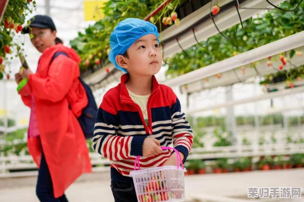 探索星球重启新领域：畅玩网页版与云游戏地址独家揭秘，即刻启程星际之旅！