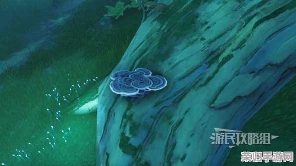 鸣潮世界云芝珍稀资源全图鉴：高效采集策略与路线优化指南