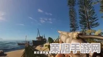 荒岛生存挑战：绝对演绎版求生策略全解析，解锁极限环境下的智慧与勇气玩法指南