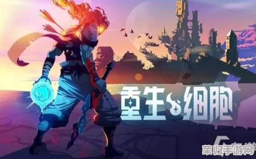 全攻略解锁：重生细胞游戏中园丁钥匙的秘密藏匿点大全集