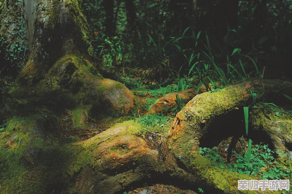 《林间秘境:打造梦幻小世界的地形编辑技巧与灵感集》全面指南 《林间秘境:打造梦幻小世界的地形编辑技巧与灵感集》全面指南
