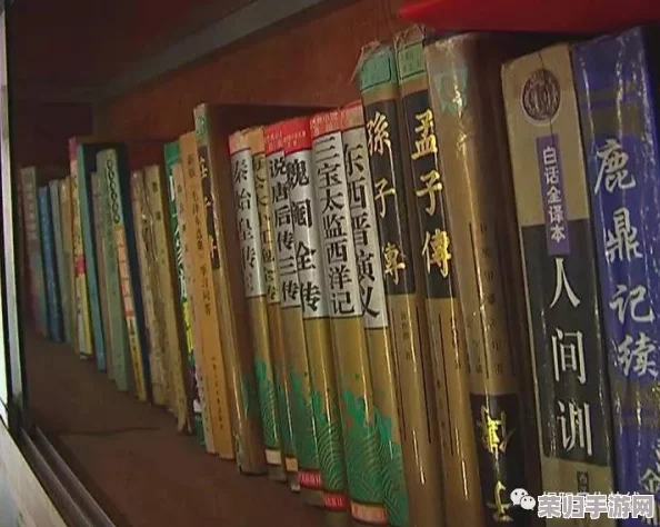 探寻归龙潮涌动下的浦城区：古籍藏书的独特魅力与推荐阅读地点全览