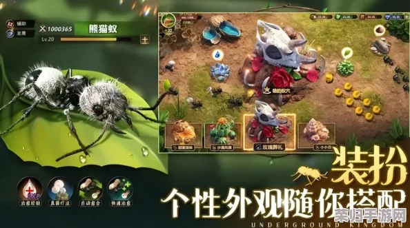 《小小蚁国》游戏内兑换码获取攻略:解锁最新福利,一网打尽全系列专属兑换码集合! 《小小蚁国》游戏内兑换码获取攻略:解锁最新福利,一网打尽全系列专属兑换码集合!