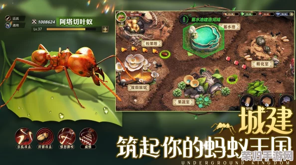 《小小蚁国》游戏内兑换码获取攻略:解锁最新福利,一网打尽全系列专属兑换码集合! 《小小蚁国》游戏内兑换码获取攻略:解锁最新福利,一网打尽全系列专属兑换码集合!