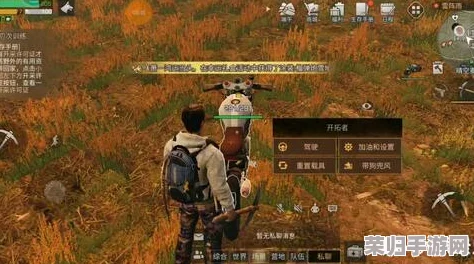明日之后生存指南：揭秘高效硝石采集地点与技巧，助你资源满载而归