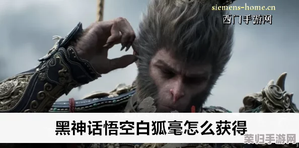 详尽攻略：解锁《黑神话悟空》中珍稀白狐毫的隐藏获取路径与技巧全览