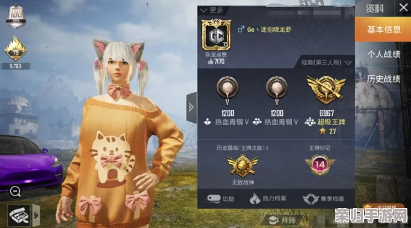 全面解析《和平精英》巡查员选拔标准：资格要求与条件深度剖析