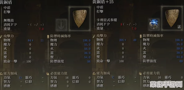全面对比：艾尔登法环中，哪一款盾牌防御效能与战术适配度更胜一筹？