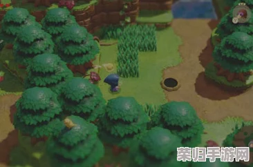 塞尔达传说：策略与智慧交锋，解锁击败沃尔瓦基亚的终极奥义