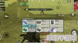 地铁逃生游戏中：金色装备套装与金枪终极对决，哪个更助你一骑绝尘？