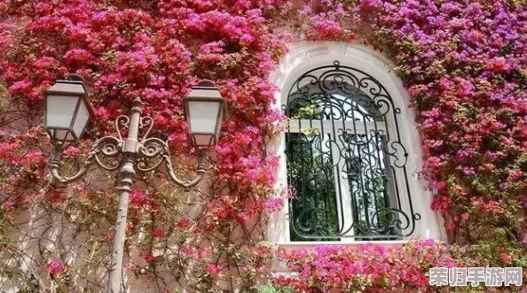独家攻略:光遇世界中繁花拱门的雅致解锁路径与技巧详解 独家攻略:光遇世界中繁花拱门的雅致解锁路径与技巧详解