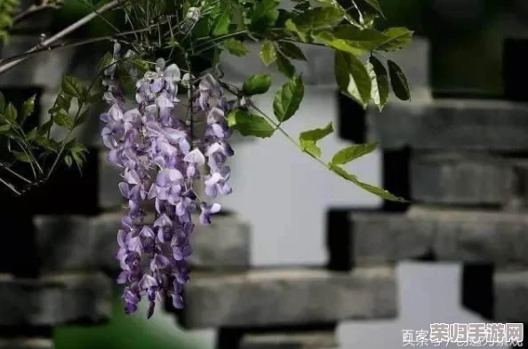 独家攻略:光遇世界中繁花拱门的雅致解锁路径与技巧详解 独家攻略:光遇世界中繁花拱门的雅致解锁路径与技巧详解