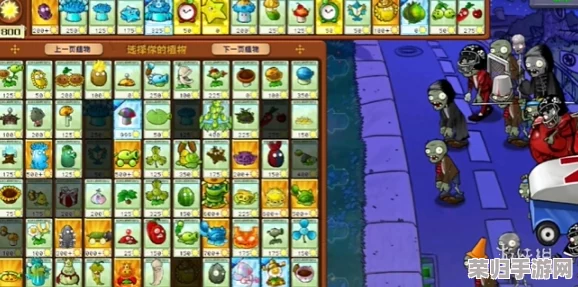 植物进化新纪元:大战僵尸杂交版终极挑战19关,高效策略通关全攻略解析 植物进化新纪元:大战僵尸杂交版终极挑战19关,高效策略通关全攻略解析