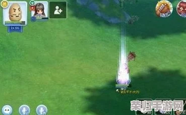 仙境传说重启征程:猎人职业专属技能加点策略与实战优化指南 仙境传说重启征程:猎人职业专属技能加点策略与实战优化指南