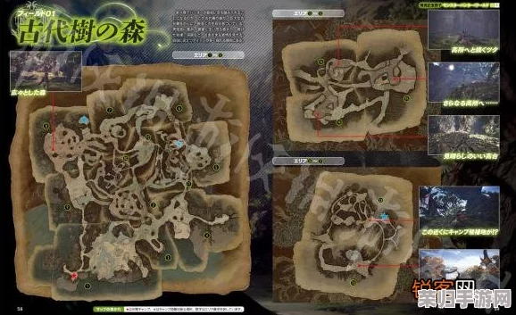 探索《怪物猎人》系列:揭秘光苔隐藏地图,寻找最佳采集点攻略大公开! 探索《怪物猎人》系列:揭秘光苔隐藏地图,寻找最佳采集点攻略大公开!
