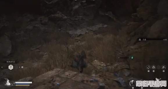 黑神话悟空：全面攻略揭秘地罗刹精魄高效获取策略与技巧