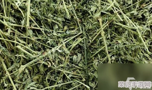 匠心之旅:揭秘手工星球上的干草采集与创意利用秘籍 匠心之旅:揭秘手工星球上的干草采集与创意利用秘籍