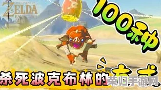 探索《塞尔达传说》奥秘：揭秘武者布林智慧之力的独特获取途径与策略解析